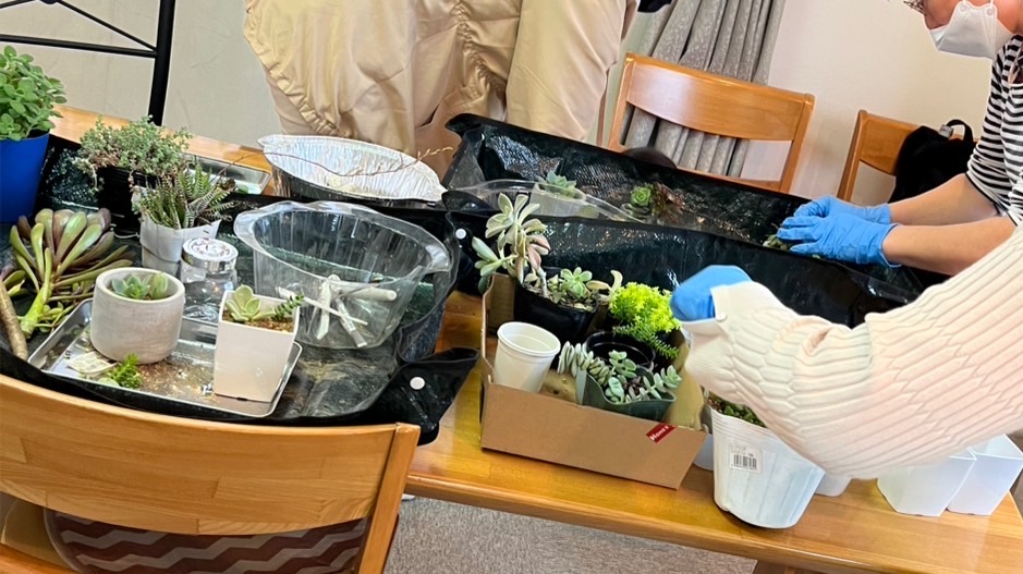 多肉植物寄せ植え